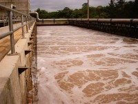 /album/mjelkopuzyrchataja-aeratsija-akon-fotogaljerjeja/jackarei-bra-jpg/